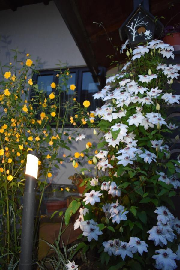 Clematis House Villa Voronet Exterior photo