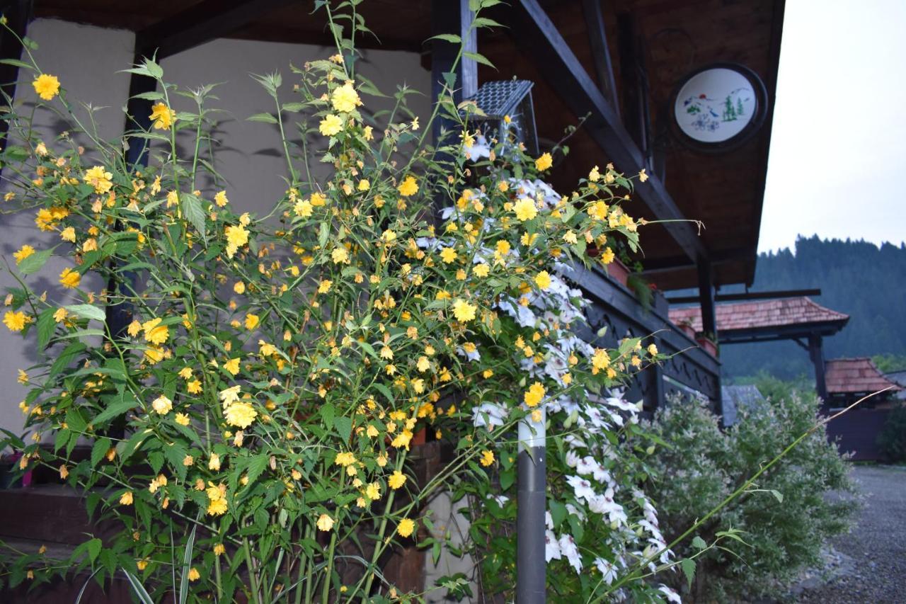 Clematis House Villa Voronet Exterior photo