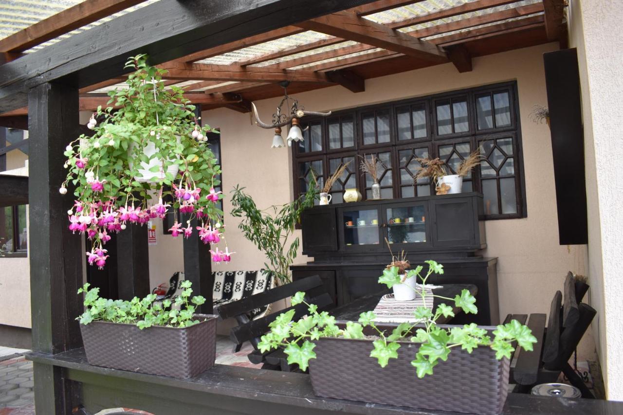 Clematis House Villa Voronet Exterior photo