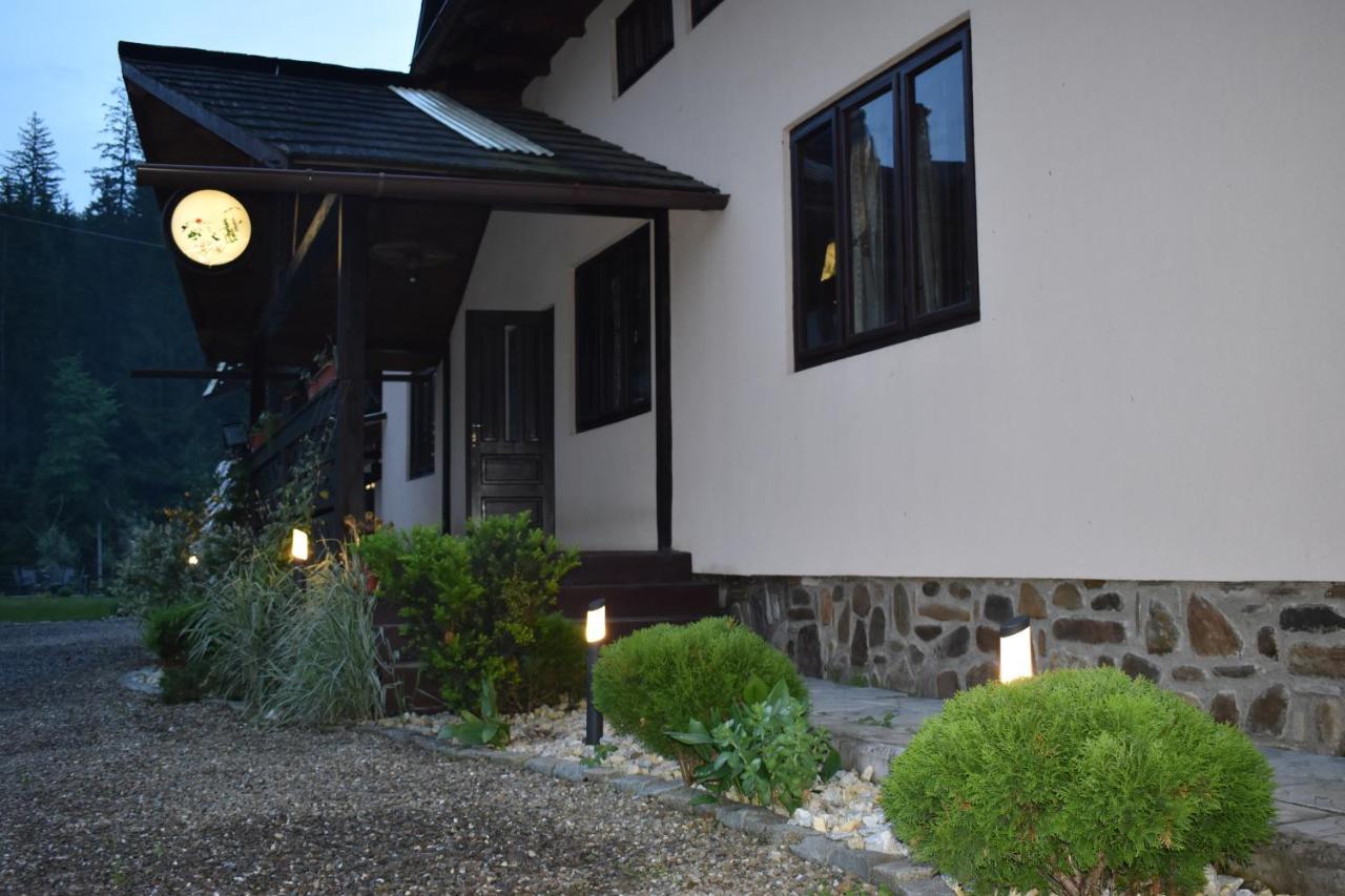 Clematis House Villa Voronet Exterior photo