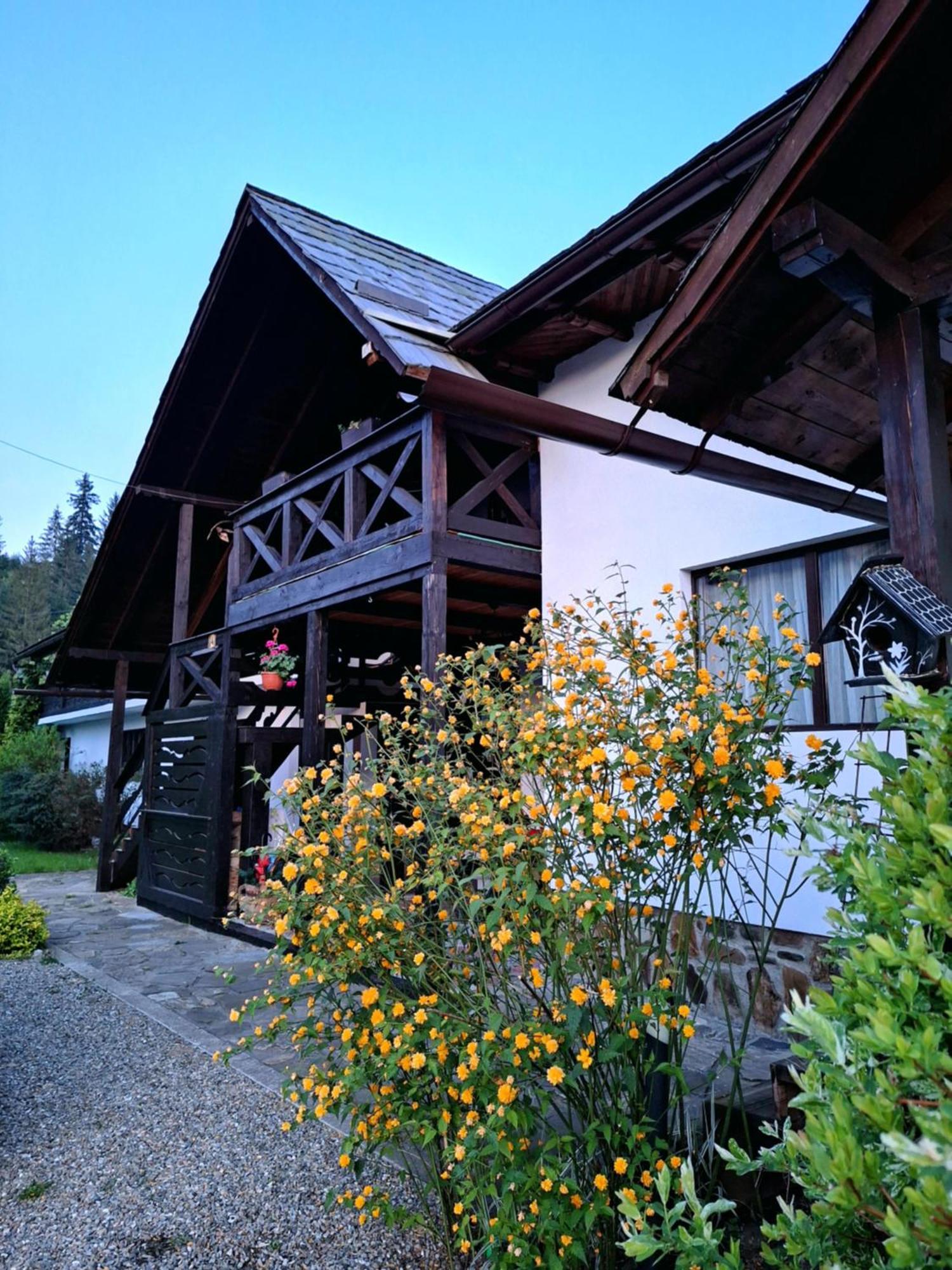 Clematis House Villa Voronet Exterior photo